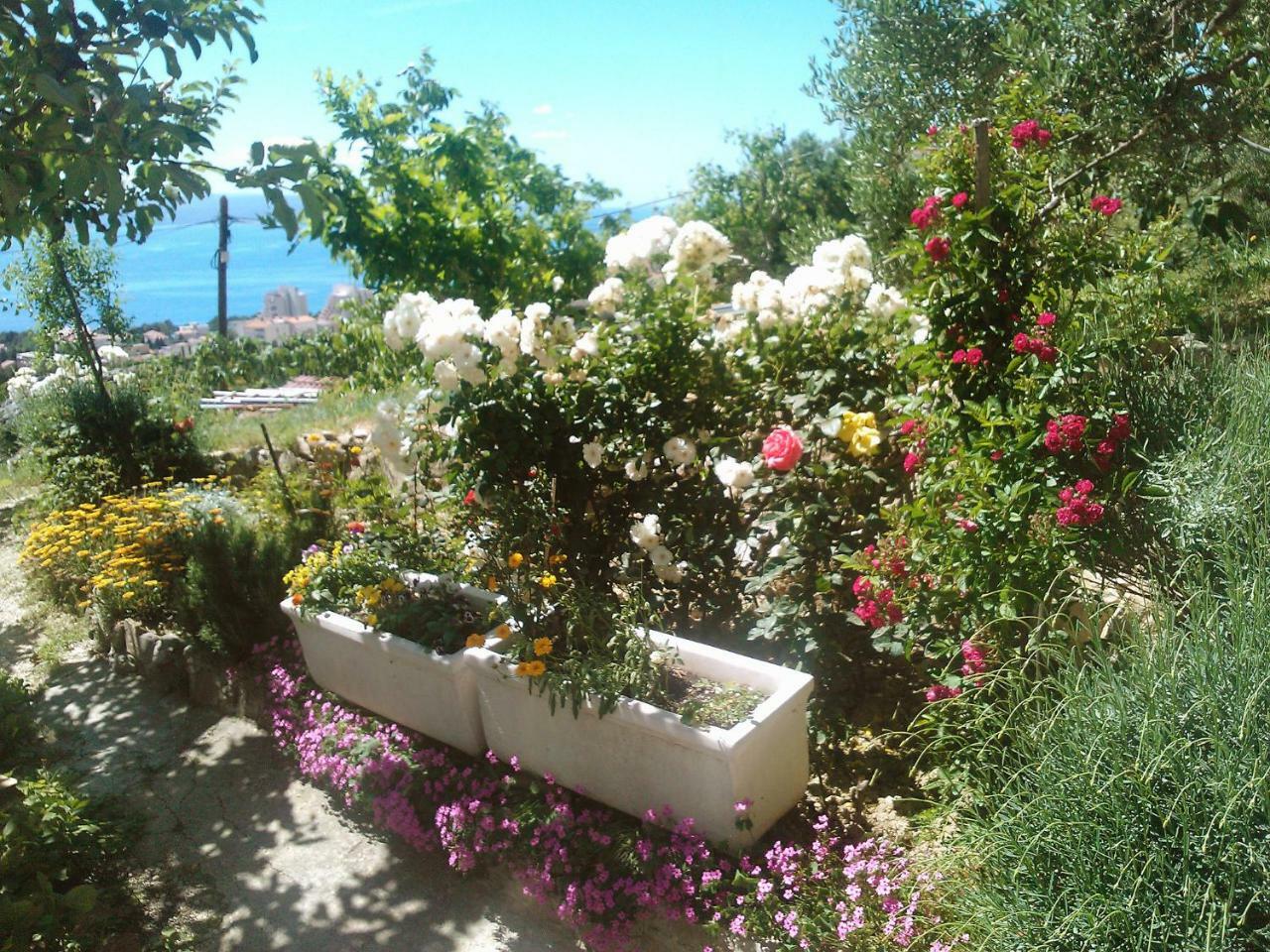 Apartment Mira-1 By Interhome Makarska Eksteriør billede